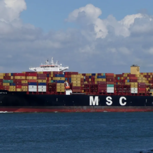 MSC Nitya B